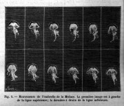 La Nature n°911 – 15 novembre 1890 – figure 1